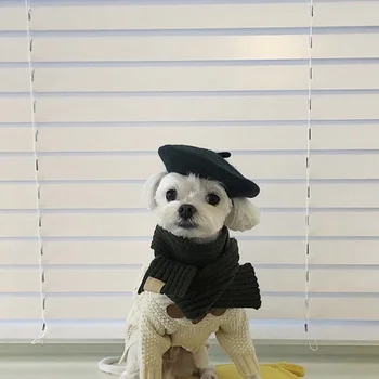 צבע מוצק הכלב הכומתות ציוד לחיות מחמד צייר כובע כלב מיני אביזרים דקורטיביים צילום כובעים עבור כלבים קטנים מחמד Partywear
